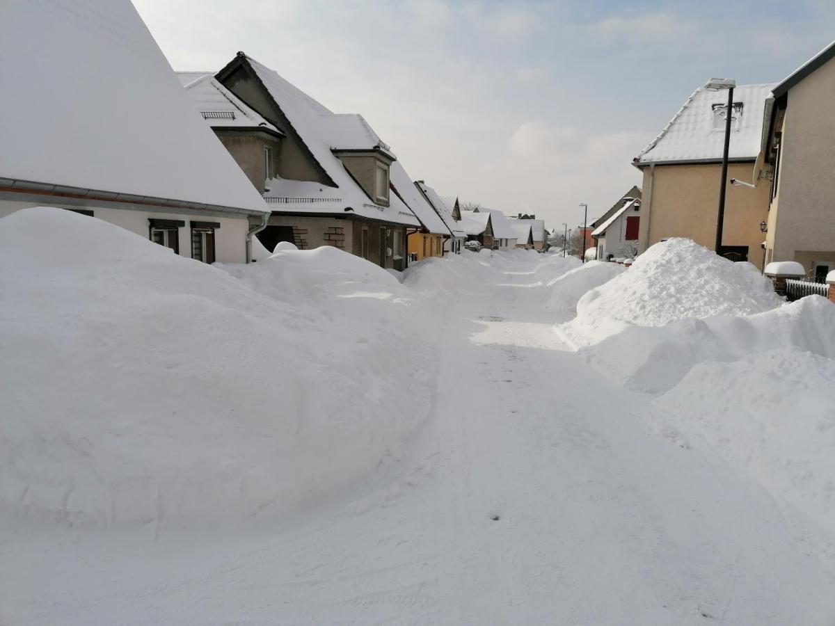 Blumenwerkstatt Mit Sauna Und Jacuzzi Dankerode  Kültér fotó